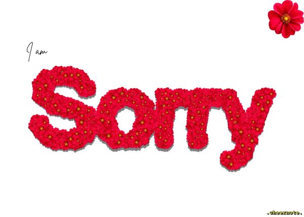 Sorry card